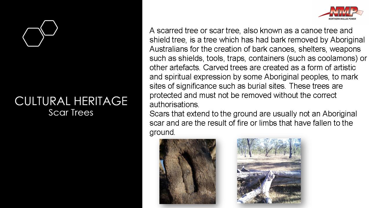 Cultural Heritage - Scar Trees - Mann Safe